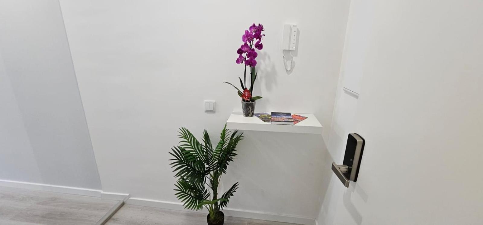 Time Off Madeira Apartment Фуншал Екстериор снимка